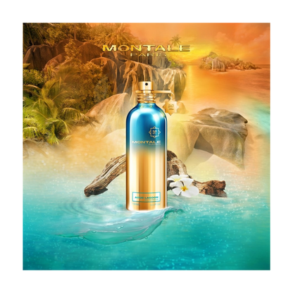 Montale Aoud Lagoon Eau de Parfum 100ml