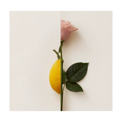 New Notes - Rosa Limone Extrait de Parfum 50ml